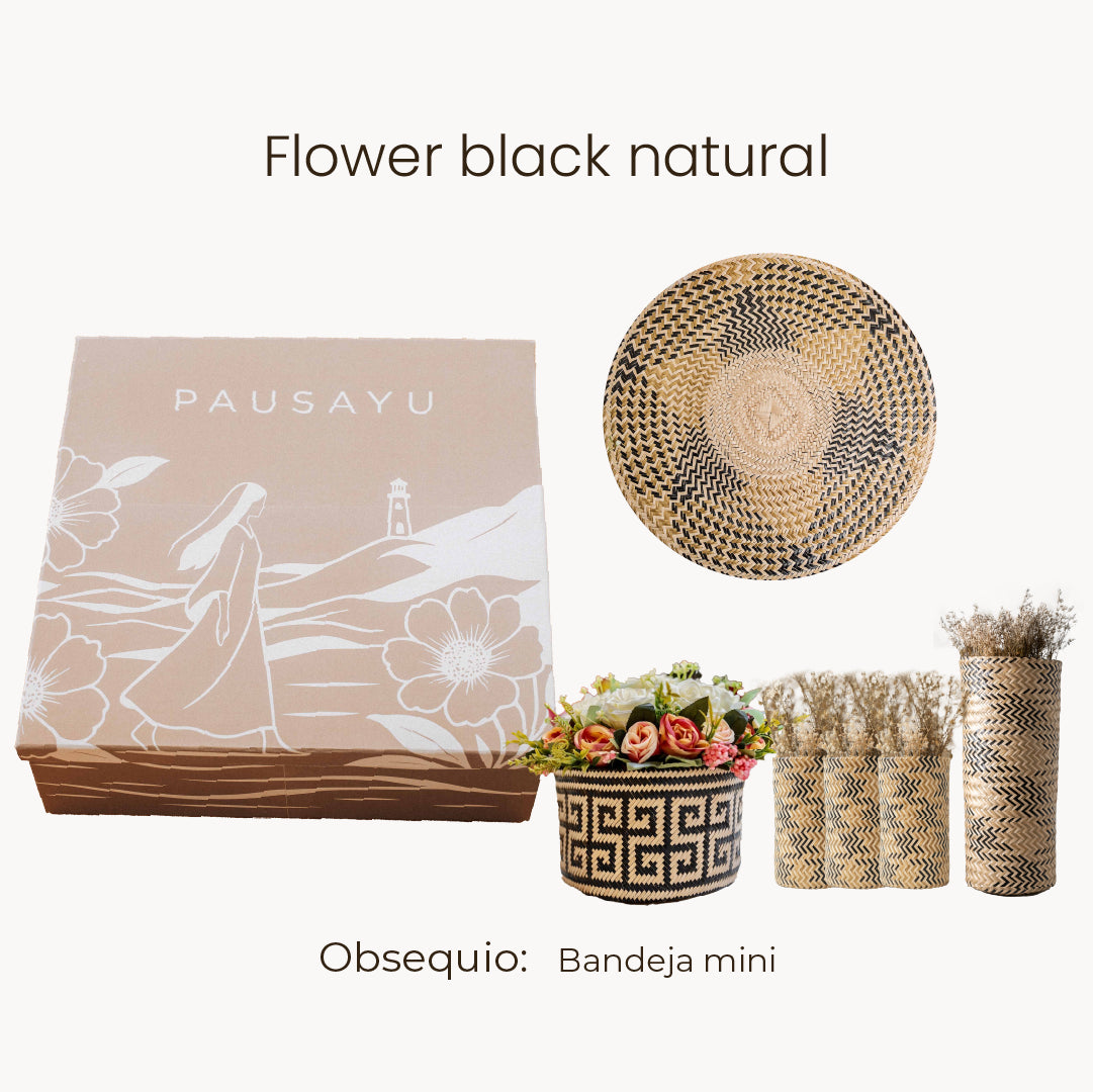 Pausayu Box opción #4