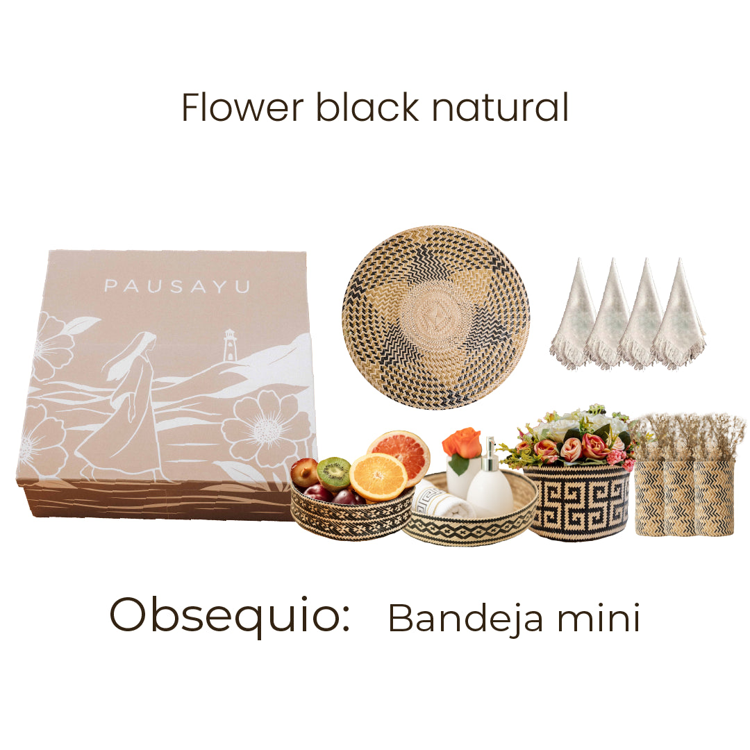 Pausayu Box opción #5